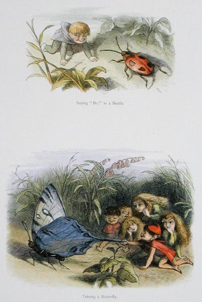 قائلا "بو!" إلى Beetle ، and Teasing a Butterfly ، رسوم توضيحية من "In Fairyland: A Series of the Elf-World" بواسطة William Allingham و Andrew Lang (color litho) بواسطة ريتشارد دويل