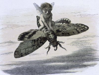 Un elfe chevauchant un papillon. تصوير دي ريتشارد دويل تيري دي "" في أرض الجنية. سلسلة من الصور من عالم قزم "" المرافق دون بويم دي دبليو ألينجهام. 1869-1870. مرجع مؤسسة المكتبة البريطانية: معرف علامة الرف: 1876 e18 