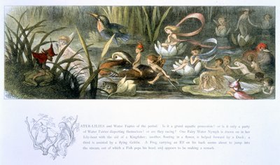 Water-Lilies و Water Fairies ، توضيح من فيلم "In Fairyland: A Series of the Photos from the Elf-World" من تأليف William Allingham و Andrew Lang بواسطة ريتشارد دويل