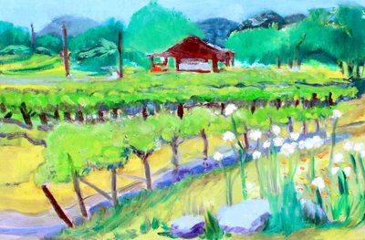 Vineyard في Zinfandel Lane ، نابا ، 2019 بواسطة ريتشارد فوكس
