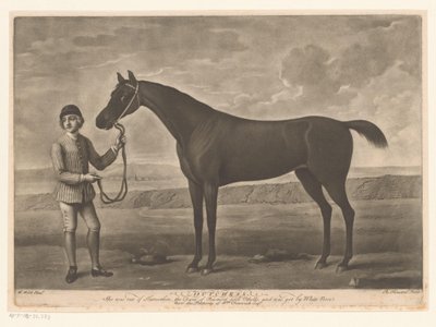 التقى Racepaard مع الفارس دتشيس بواسطة ريتشارد هيوستن