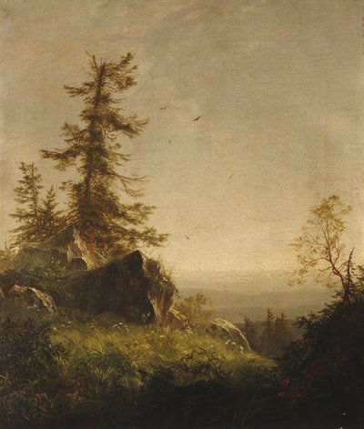 صباح على الجبل ، 1856. بواسطة ريتشارد وليام هوبارد