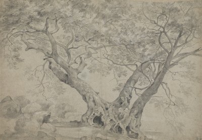 Arbra Sacra على ضفاف بحيرة Nemi ، حوالي 1754-56 (طباشير أسود وأبيض على ورق) بواسطة ريتشارد ويلسون