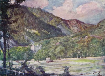 A Hayfield بالقرب من Portmadoc (لون ليثو) بواسطة روبرت (بعد) فاولر