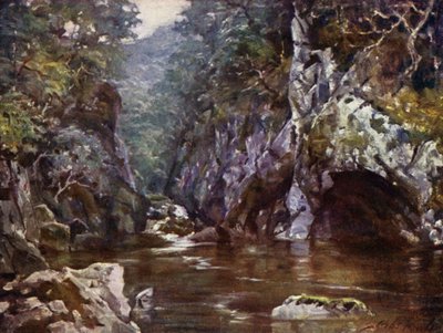 Fairy Glen ، Bettws-y-Coed (لون ليثو) بواسطة روبرت (بعد) فاولر