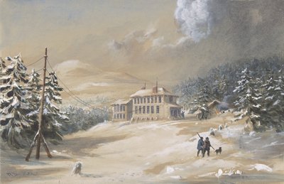 خليج ترينيتي ، نيوفاوندلاند ، منظر خارجي لمنزل تلغراف في 1857-1858 ، 1865-66. بواسطة روبرت تشارلز دادلي