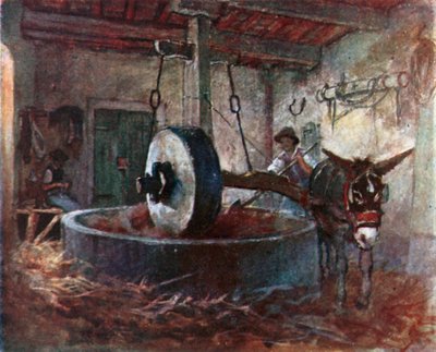 معصرة زيت توسكان (طباعة حجرية ملونة) بواسطة روبرت تشارلز جوف