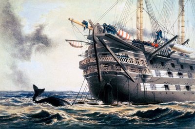 HMS 'Agamemnon' وضع كابل التلغراف الأطلسي الأصلي ، 1857 1866 بواسطة روبرت دادلي