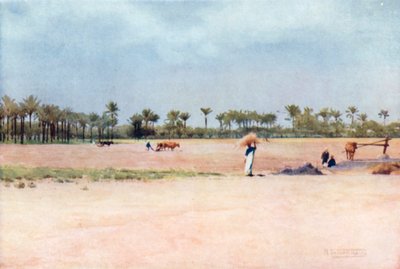  بواسطة روبرت جورج تالبوت كيلي