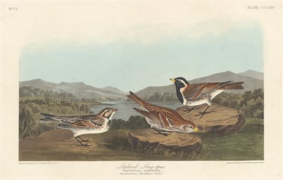 لابلاند لونجسبير 1837. بواسطة روبرت هافيل