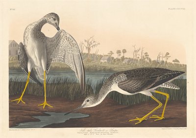 أخبر قصة Godwit ، ١٨٣٦. بواسطة روبرت هافيل