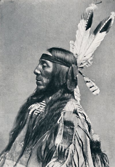 عرض ملف شخصي لسيوكس ، 1912 بواسطة روبرت ويلسون شوفلدت