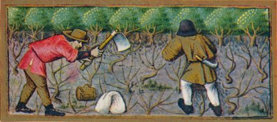 مارس - العمل في الكرم ، القرن الخامس عشر ، 1939. بواسطة Robinet Testard