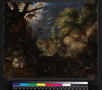 خلق الطيور ، 1619 بواسطة Roelandt Jacobsz. حفظ