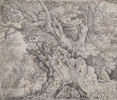 شجرة Gnarled ، كاليفورنيا. 1608-09. بواسطة Roelandt Savery
