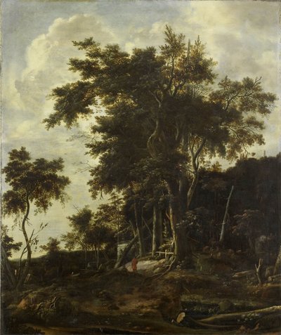 المناظر الطبيعية للغابات مع سقيفة الحطاب بواسطة Roelant Roghman