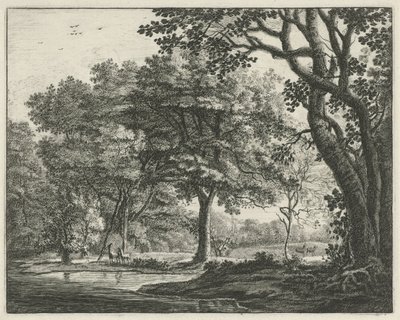الغزلان في Haagse Bos وجوه في Haagse Bos (عنوان المسلسل) بواسطة Roelant Roghman