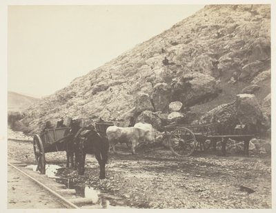 مواشي وعربات مغادرة بالاكلافا 1855. بواسطة روجر فينتون