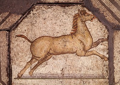 حصان ، التفاصيل من Orpheus Charming the Animals (فسيفساء) بواسطة رواية