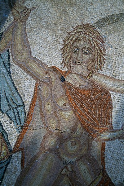 Abduction of Hylas by Nymphs, mosaic in House of Venus in Roman city of Volubilis (UNESCO World Heritage List بواسطة رواية