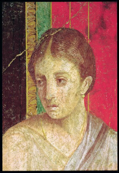 تفاصيل رأس الأم الجالسة ، من مشهد التعليم المسيحي ، الجدار الشمالي ، Oecus 5 ، 60-50 قبل الميلاد فريسكو انظر أيضًا 20015 بواسطة رواية