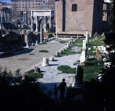 تم بناء موقع Basilica Aemilia في المنتدى الروماني لأول مرة عام 179 قبل الميلاد وتم ترميمه عدة مرات بفضل عائلة إميليا. روما بواسطة رواية