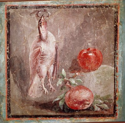 Partridge and pomegranatres (fresco بواسطة رواية