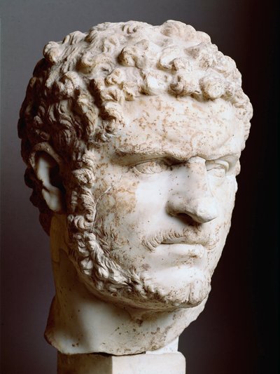 Roman Art: “” Marble Head of Caracalla (188-217), Emperor from 211 to 217 AD, 211-217 AD, Dim. 28 cm - Rome, Palazzo dei Conservatori, Italy - Head of Caracalla (188-217) - Marble sculpture بواسطة رواية