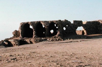 أنقاض القناة الرومانية بواسطة رواية