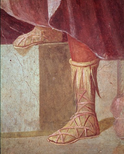 The feet of Agamemnon, in the Sacrifice of Iphigenia (fresco بواسطة رواية
