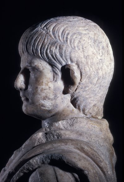 تمثال مزدوج لنيرون الشاب ، منظر جانبي للرأس ، حوالي 50 م (رخام) (تفصيل 140378) بواسطة رواية