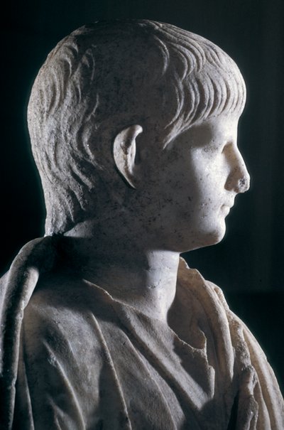 تمثال مزدوج لنيرون الشاب ، منظر جانبي للرأس ، حوالي 50 م (رخام) (تفصيل 140378) بواسطة رواية