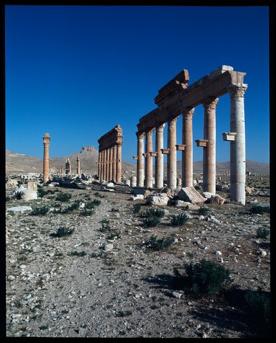 منظر لبقايا تدمر (تصوير) بواسطة رواية