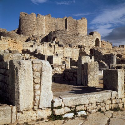منظر للحمامات الليسينية بواسطة رواية