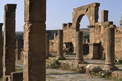 دخول كاردو وسوق كوزينيوس ، الفترة الإمبراطورية العالية (27 ق.م - 395 م) بواسطة الفترة الإمبراطورية الرومانية