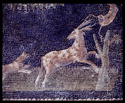 تفاصيل فسيفساء الجدار من nymphaeum of the casa di Nettuno e Anfitrite ، القرن الخامس قبل الميلاد - القرن الأول الميلادي بواسطة رومان رومان