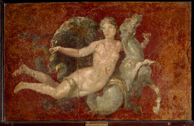 الفن الروماني: امرأة تركب حصان البحر. فريسكو من ستابيا. نابولي ، Museo Archeologico Nazionale - الفن الروماني: امرأة تركب حصان البحر. فريسكو من ستابيا. المتحف الأثري الوطني ، نابولي ، إيطاليا بواسطة رومان رومان