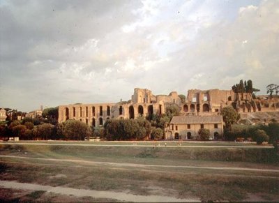 منظر قصر بالاتين من سيرك مكسيموس (صورة) (انظر أيضًا 99013) بواسطة رومان رومان