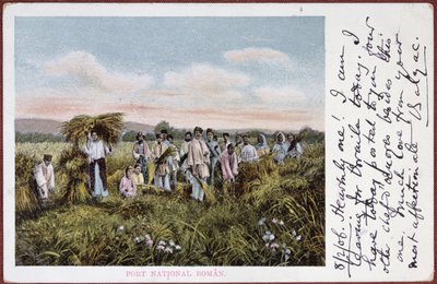 بطاقة بريدية تصور حصاد الفلاحين الرومانيين ، 1906 بواسطة المدرسة الرومانية