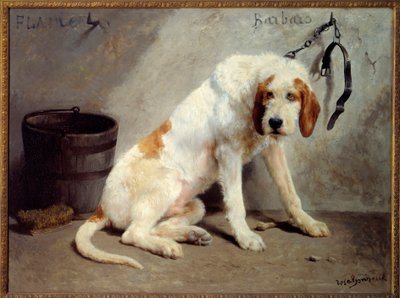كلب باربارو بعد الصيد (كلب الصيد) بواسطة بينك بونور