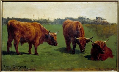 ثلاث دراسات من اللحم البقري الأحمر في مرحلة ما قبل. لوحة روزا بونور (1822-1899) بواسطة بينك بونور