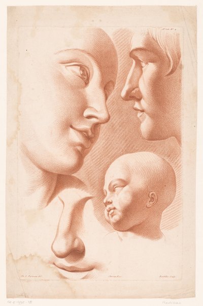 رؤساء النساء والرجال والأطفال مبادئ الرسم من الطبيعة الجزء الثاني (عنوان السلسلة) IIe Cahier de Principes du Dessin d