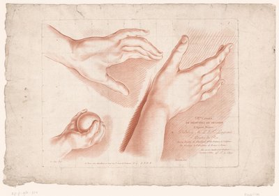 طباعة العنوان بثلاث أيدي مبادئ الرسم من الطبيعة الجزء الثامن (عنوان السلسلة) VIIIe Cahier de Principes du Dessin d