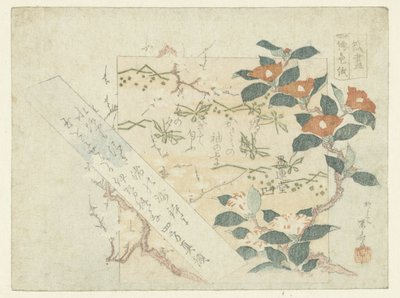 صحائف الشعر بواسطة Ryuryukyo Shinsai