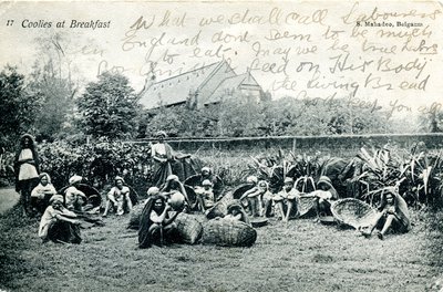 Coolies في الإفطار ، حوالي 1908 (صورة بالأبيض والأسود) بواسطة S. Mahadeo