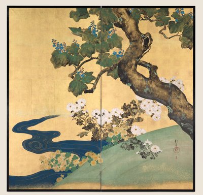 Paulownias والأقحوان بواسطة Sakai Hoitsu