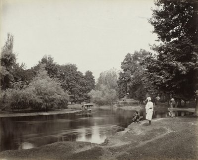 قناة ذيول أسفل تشونار باغ ، كشمير ، ج. 1865 (طباعة فضية زلال) بواسطة صموئيل بورن