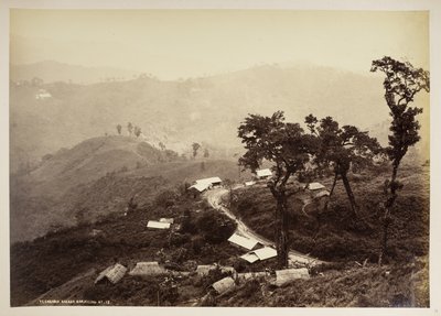 تنداري بازار ، دارجيلنج ،  من "مناظر دارجيلنغ" ،  1860 - 1880    (ب / ث الصورة) بواسطة صموئيل بورن