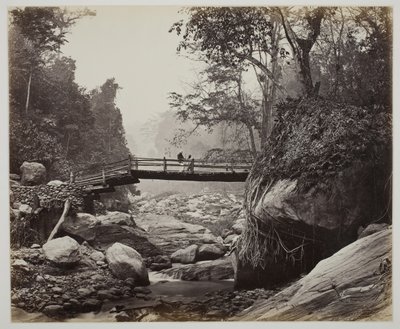 بدون عنوان [جسر مشاة فوق نهر] ، ج. 1865. بواسطة صموئيل بورن