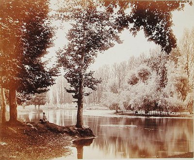 منظر على قناة دول ، كشمير ، حوالي عام 1865 (صورة بني داكن) بواسطة صموئيل بورن
